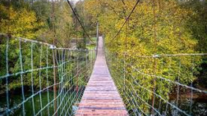 Welcome to the Land of Swinging Bridges