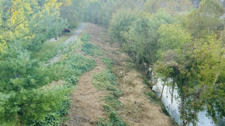 Goose Creek Riverbank Cleanup – Progress Update!