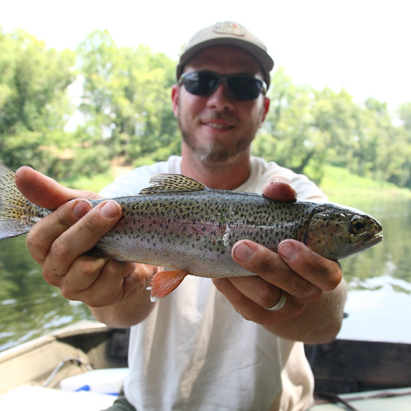A Tranquil Escape: Bert T. Combs Lake photo 1